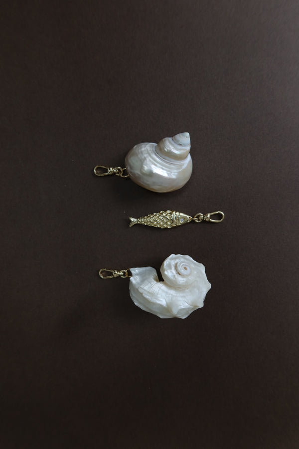 Seashell Charm