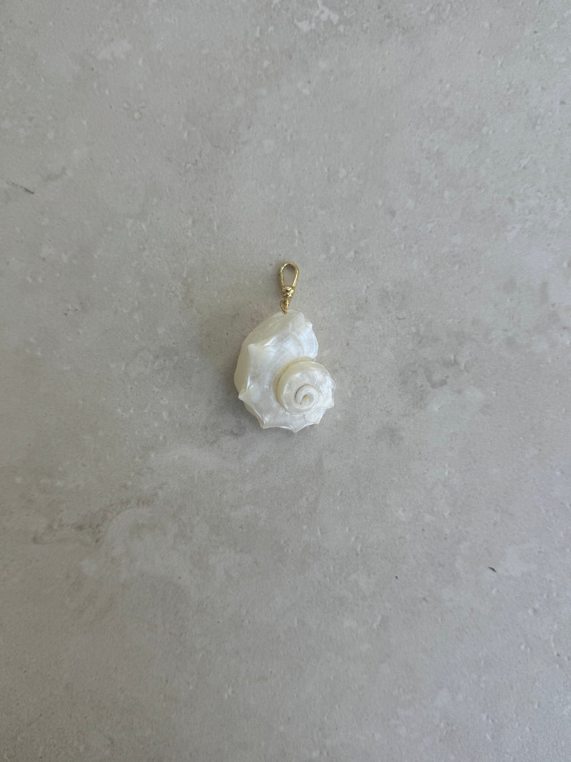 Neptune Charm