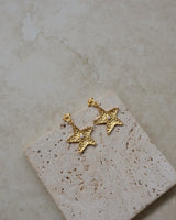 Star Shine Earrings - Gold