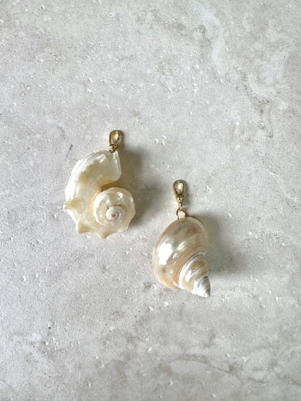 Seashell Charm